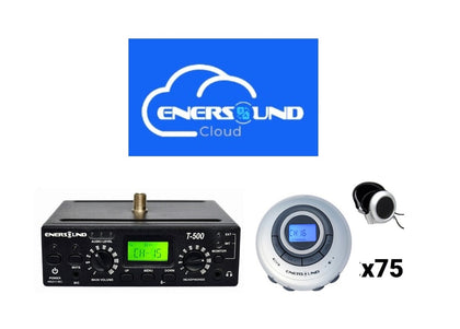 75-Person Automatic Speech Translation System for Enersound Cloud